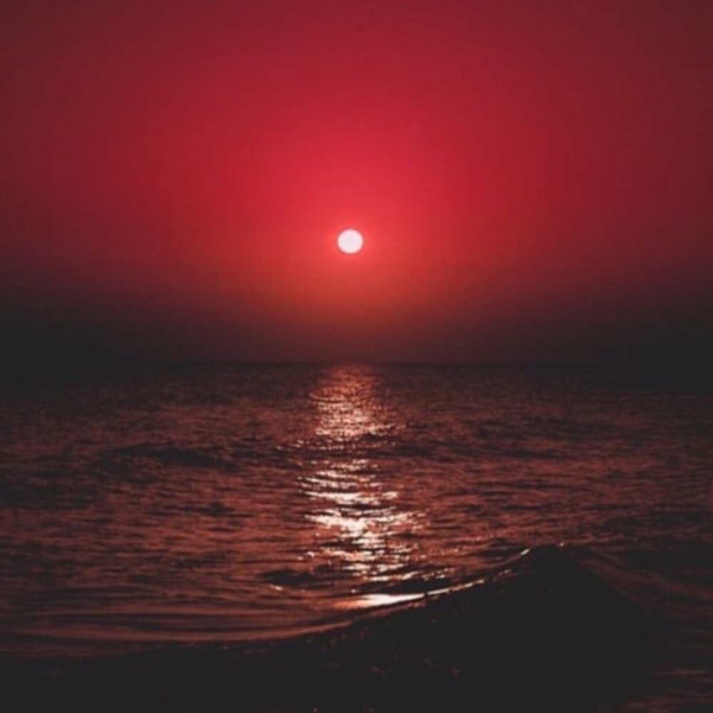 Meet your Posher, Lucas